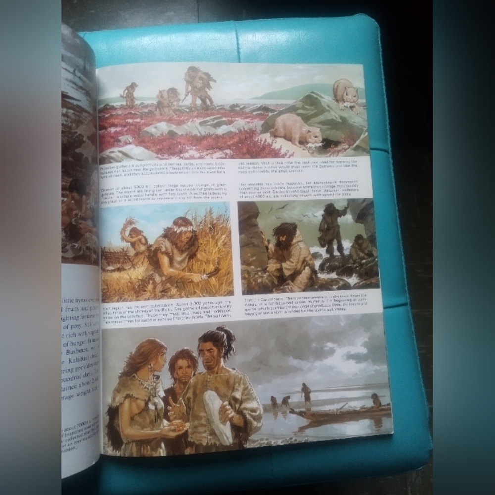 Prehistoric Times Book - Picture 7 of 8